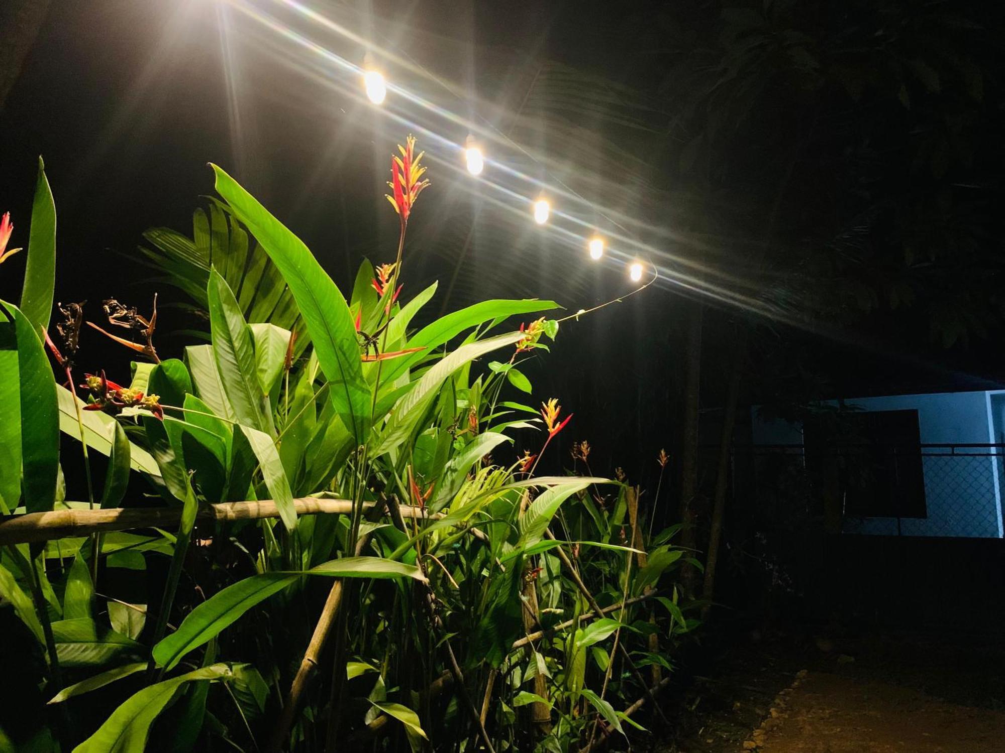 White Heaven Villa Unawatuna Exterior photo